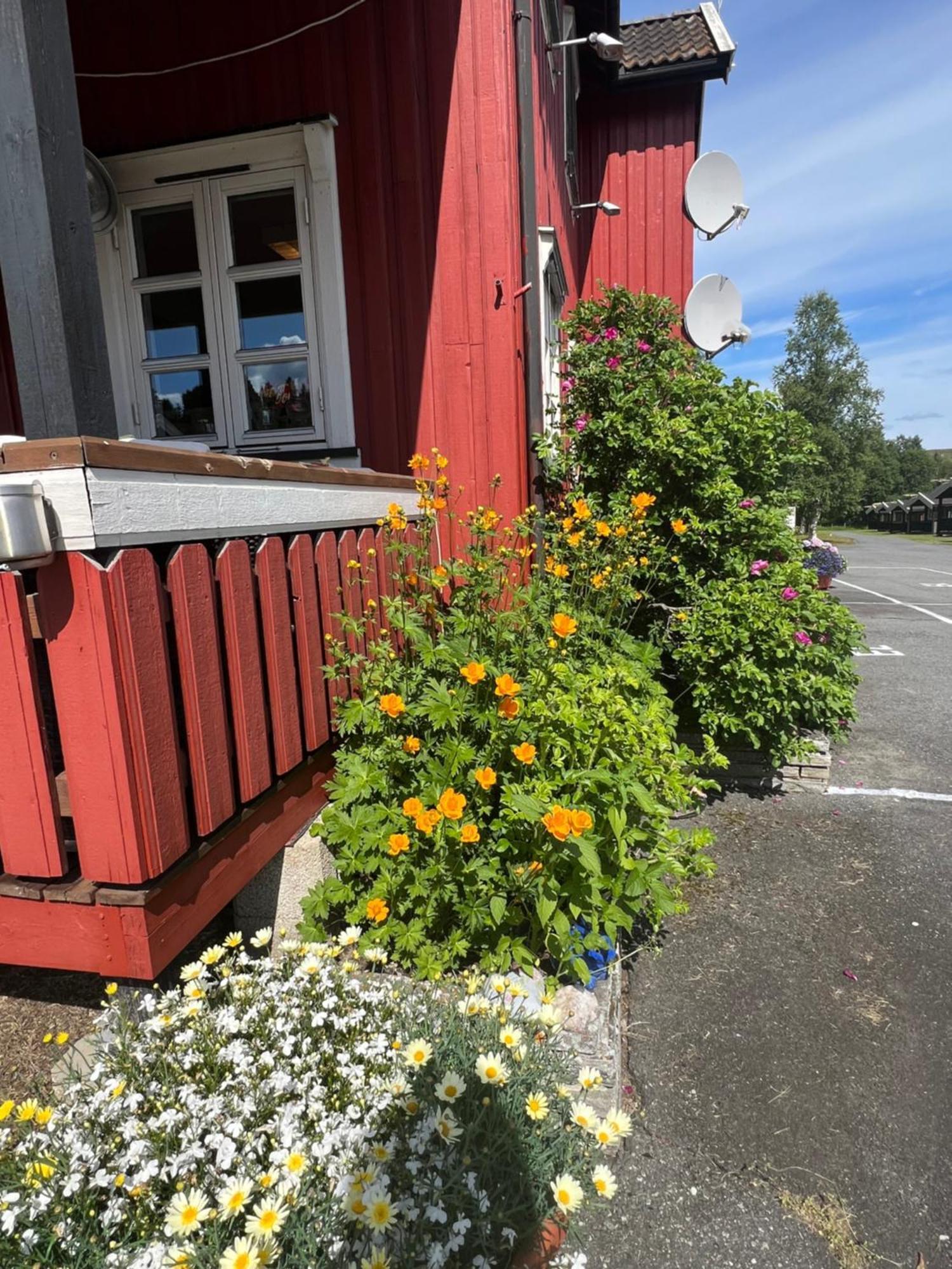 Gullvag Nyberg * Soknedal