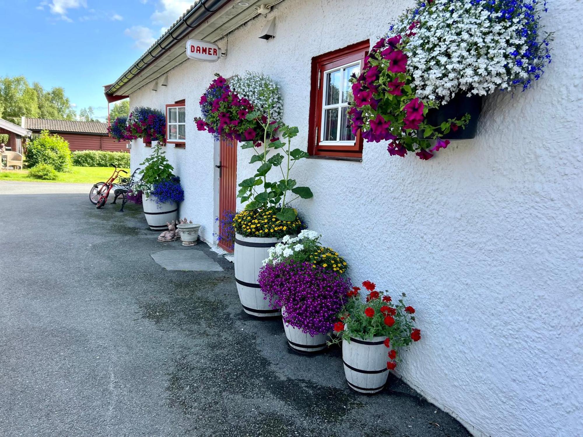 Gullvag Nyberg Campingplatz