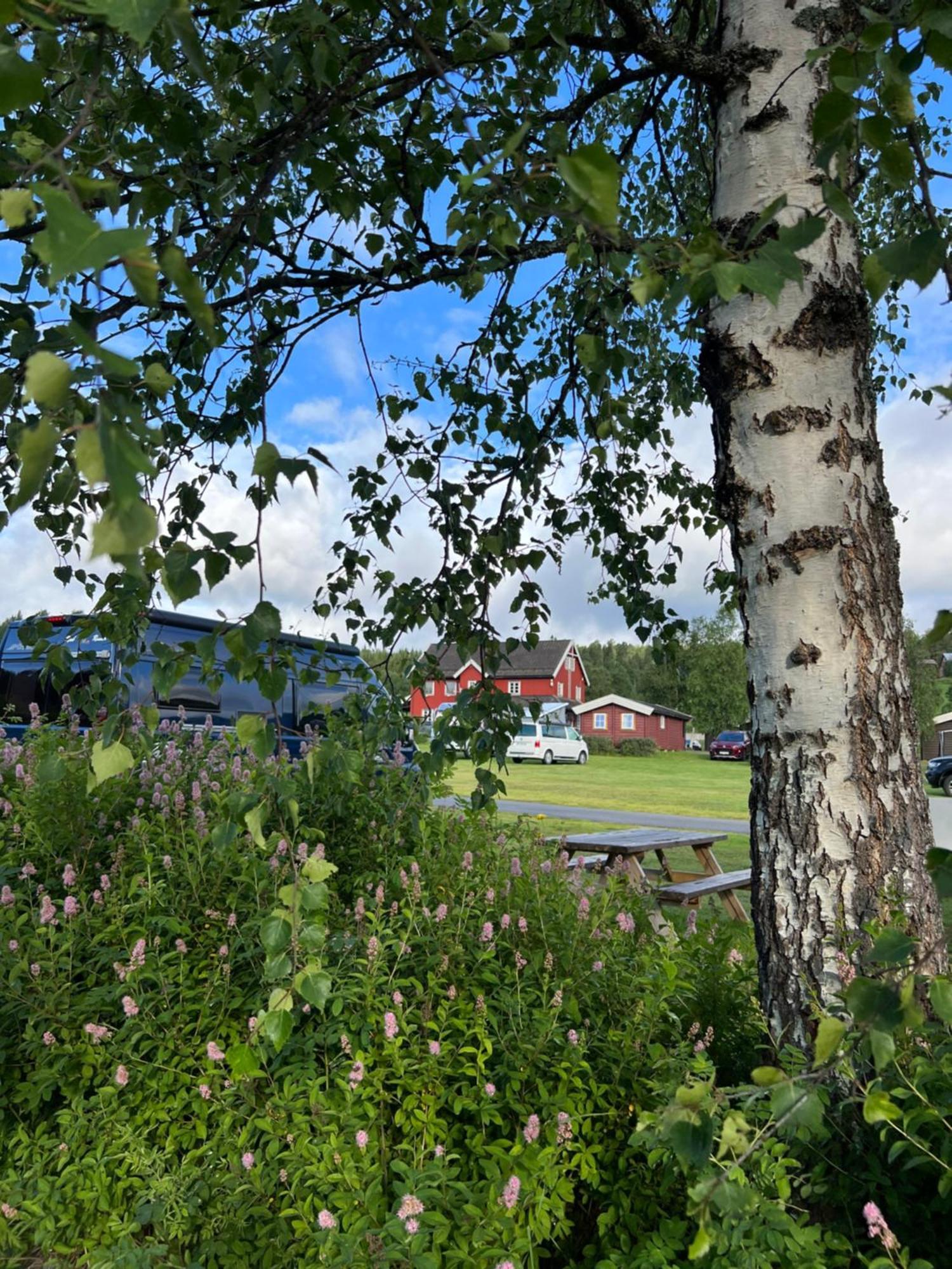 Gullvag Nyberg * Soknedal